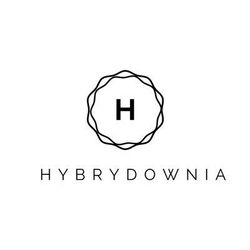 Hybrydownia, aleja Wyszyńskiego 25, 94-048, Łódź, Polesie