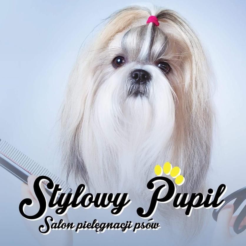 Stylowy Pupil - Salon Pielęgnacji Psów i Kotów, Obornicka 344, 60-689, Poznań, Stare Miasto