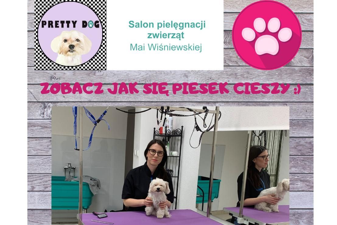 Pretty Dog Salon Pielegnacji Zwierzat Zarezerwuj Wizyte Online Booksy