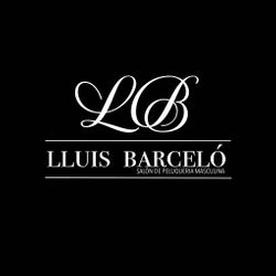 Lluís Barceló, Calle gabriel maura numero 6 local 19, 07141, Marratxí