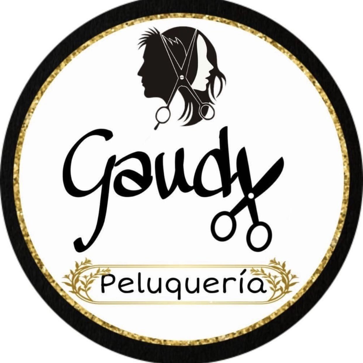 Gaudy peluquería y estética, Calle Monte Perdido, 92, 28053, Madrid