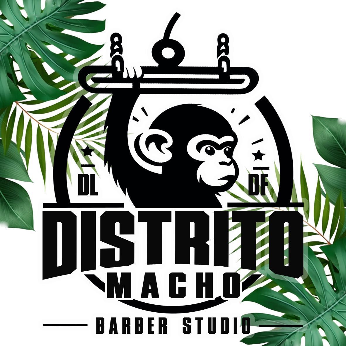 DISTRITO MACHO Barber Studio, Calle Kilimanjaro, 16, 47013, Valladolid
