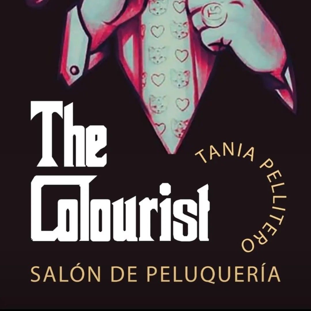 Salon De Peluquería The Colourist, Avenida Manuel Llaneza, 3 Bajo2, 33005, Gijón