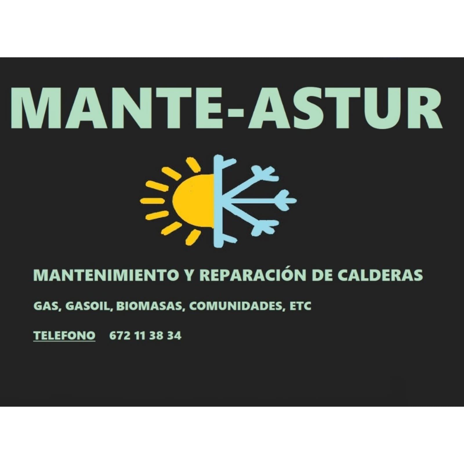 MANTE-ASTUR, 33003, Oviedo