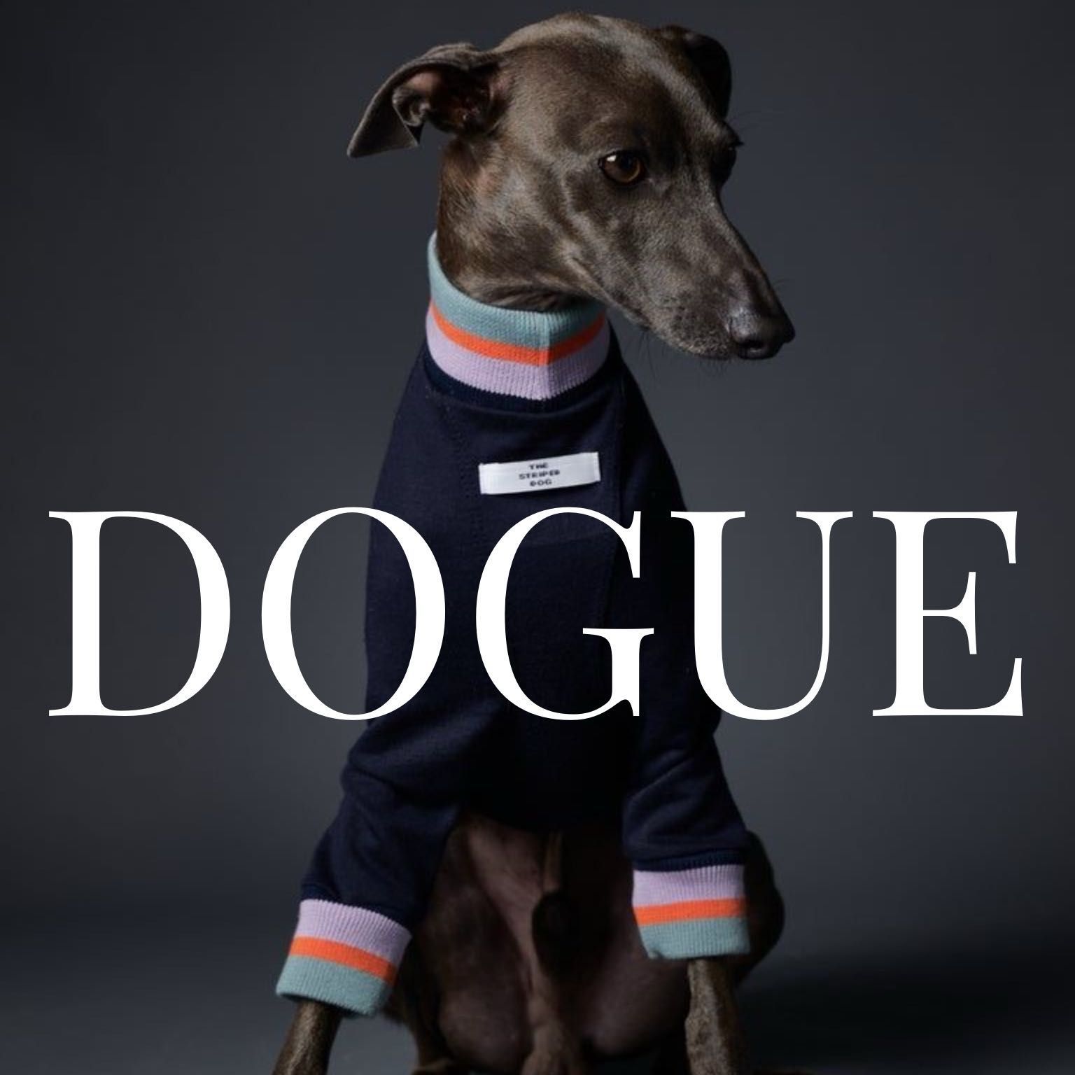 Dogue.Estilismo.canino, Avenida Músico Maestro Rodrigo 52, 46015, Valencia