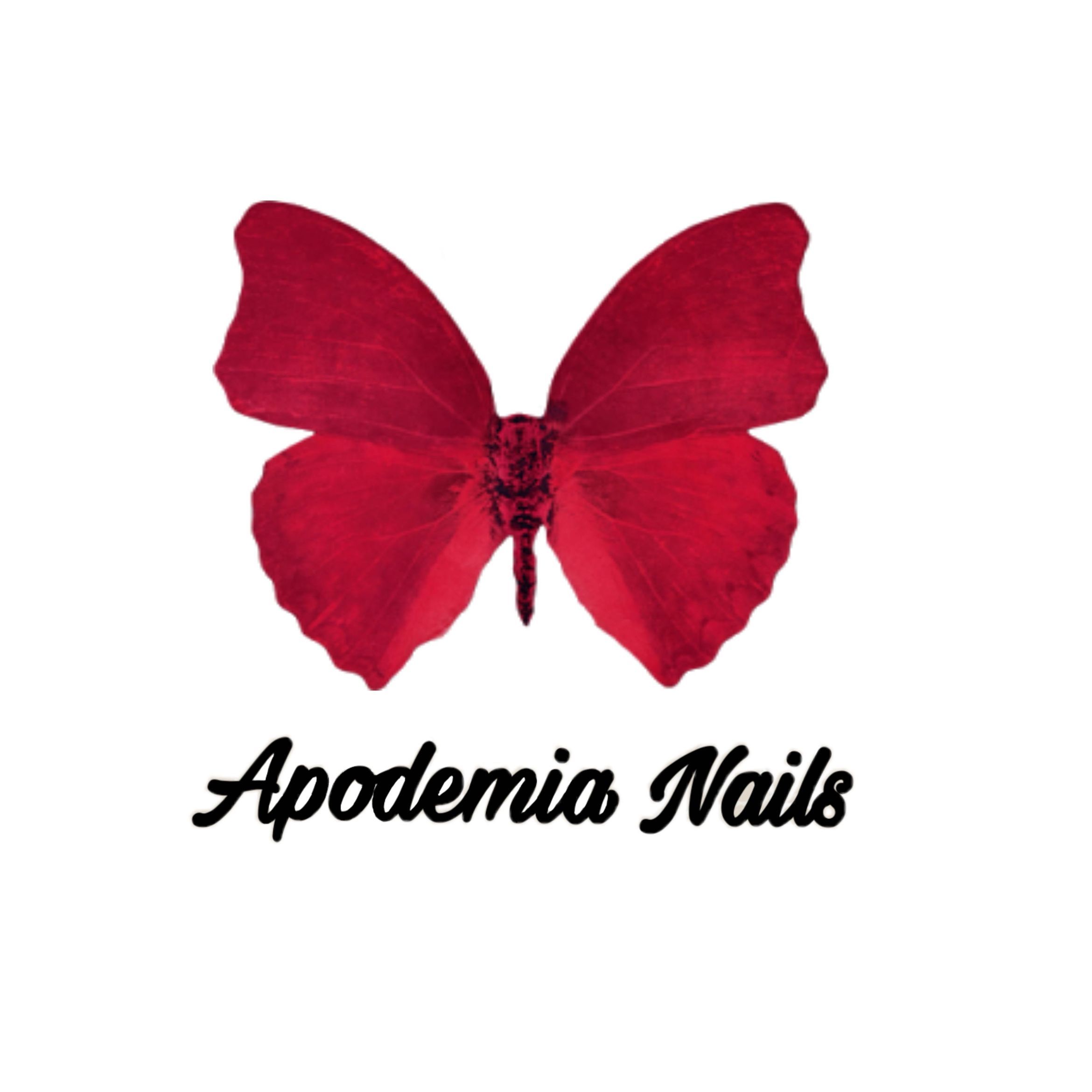 Apodemia Nails, Calle de Diego de León, 26, Mercado diego de leon, local 20, ANITA, 28006, Madrid