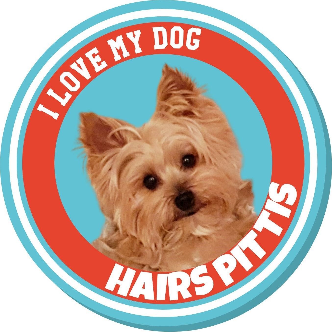 Hairs Pittis, 28006, Madrid