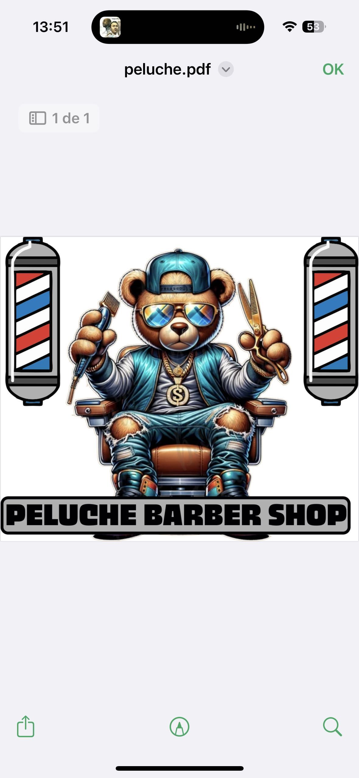 Peluchebarbershop, Calle Serapio Mujika, Serapio mujika, 20302, Irún