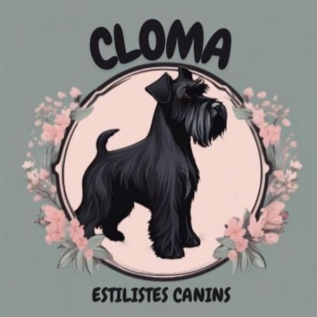 Cloma, Rambla de Can Móra, 9  con plaza quiteria, 08172, Sant Cugat del Vallès