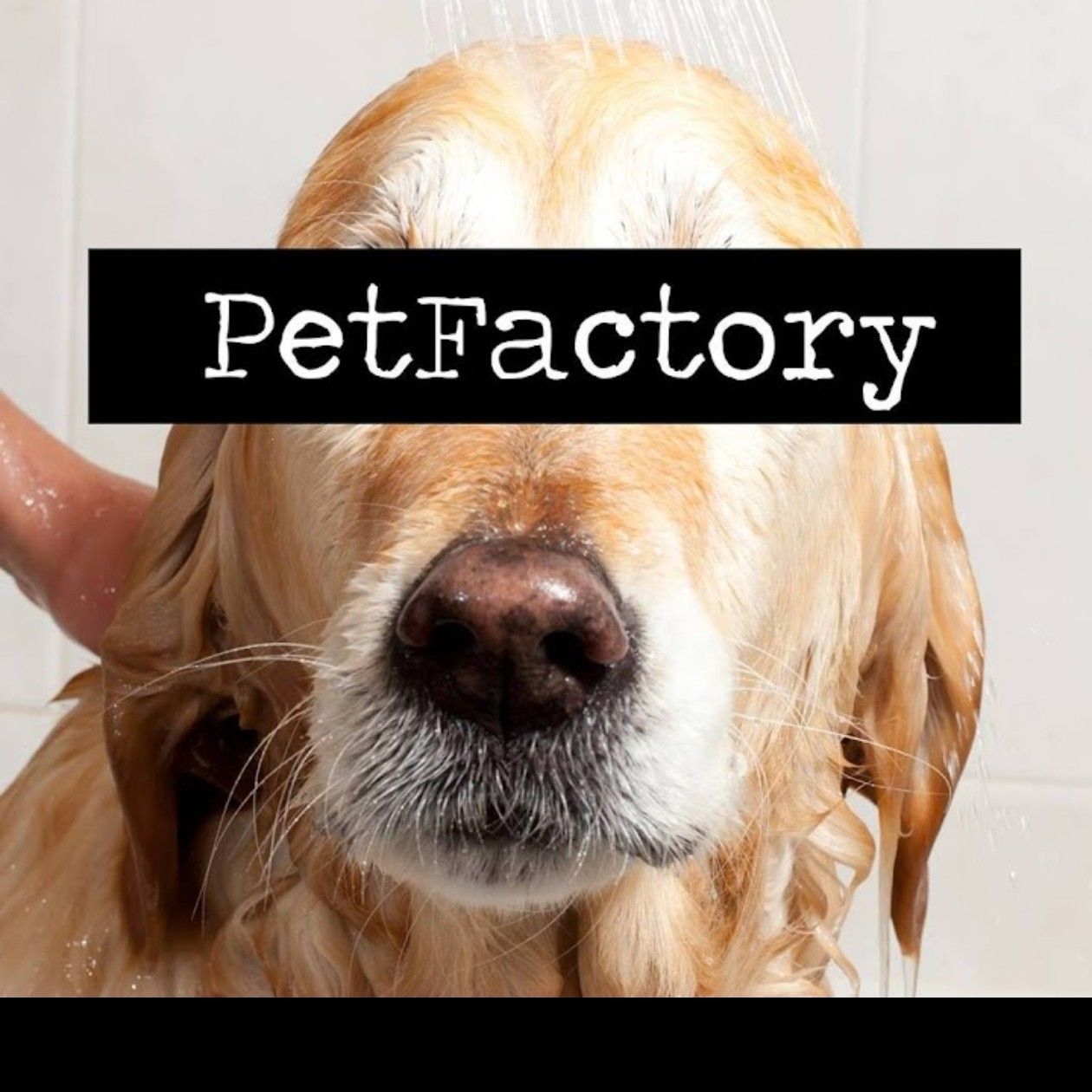 Petfactory, Tocuarto Fernández Miranda 46, Asturias, 33203, Gijón