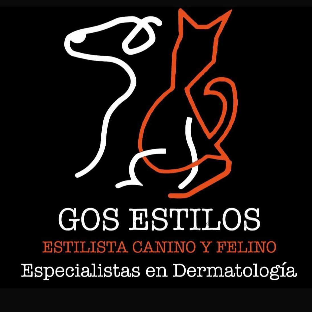 GOS ESTILOS - SILLA, PERE EL CEREMONIOS 10 BAJO, 46460, Silla