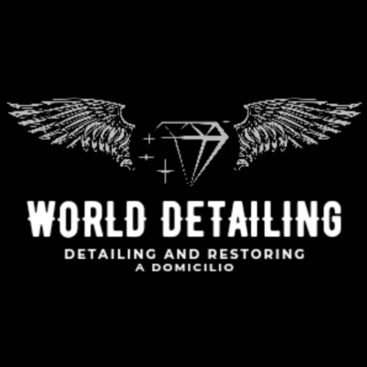 Worlddetailing, Avenida Blasco Ibáñez 53, Alaquas valencia, 46970, Alaquàs