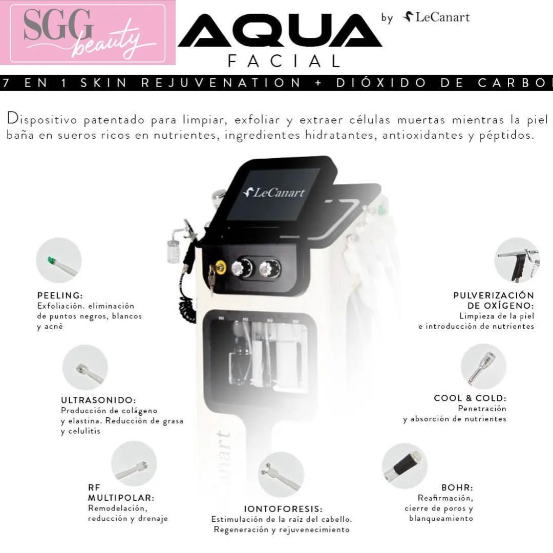 Limpieza facial Aqua Facial y Gua Sha portfolio