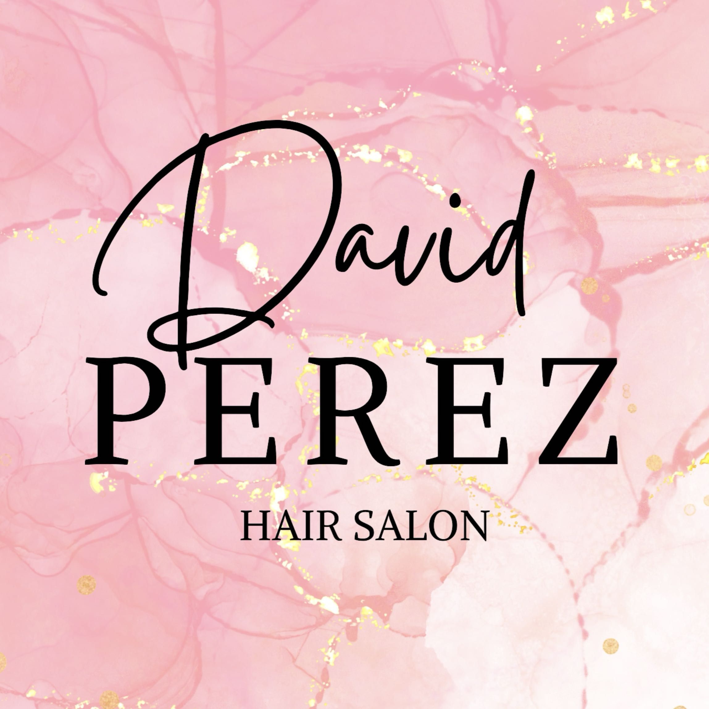 David Perez Hair Salon, Calle de Dénia, 76 bajo, 46006, Valencia