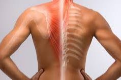 Osteopatía-dolor localizado-disfunciones orgánicas portfolio
