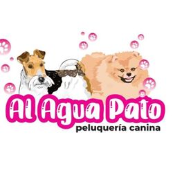 Al agua pato, peluquería canina, Calle Atleta Antonio Peñalver 3, 30006, Murcia