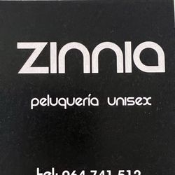 Zinnia, Calle Jaume Roig, 32, 12540, Vila-real