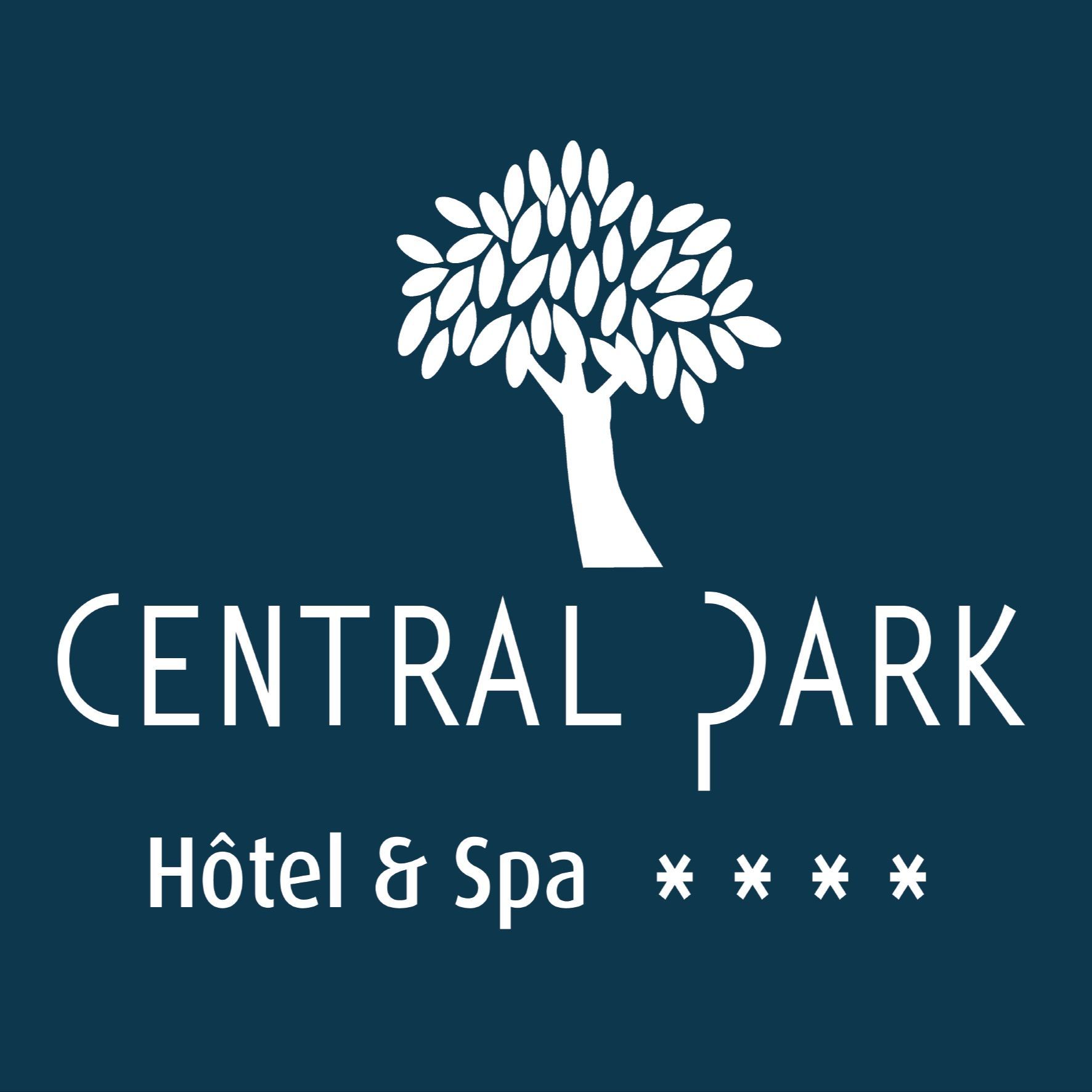 Hotel Central Park, 4 Avenue Jean Guiton, 17000, La Rochelle