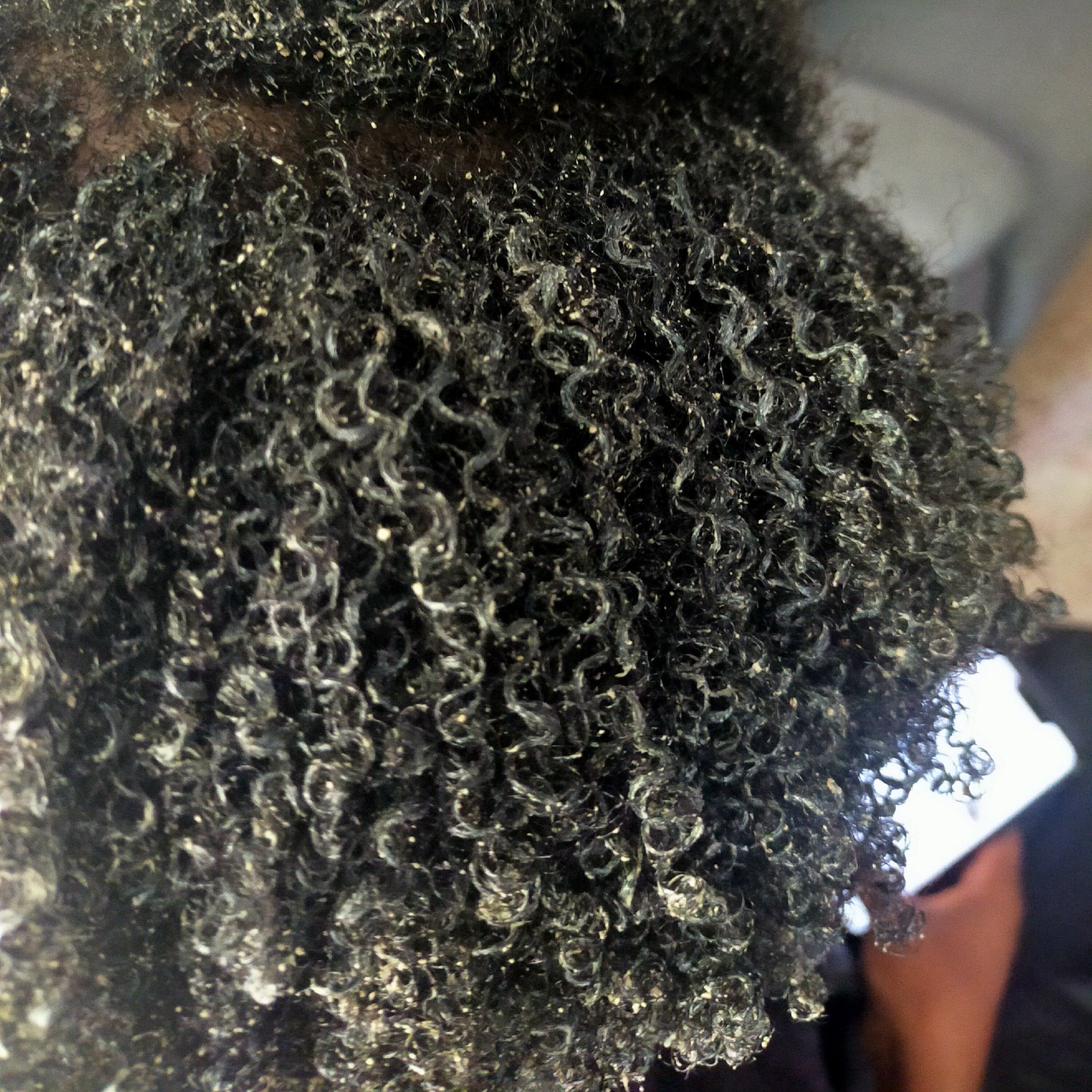 Porfolio de Oh My Curls!