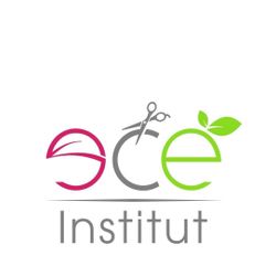 Institut ECE, 25 rue les Hauts, 97490, Saint-Denis