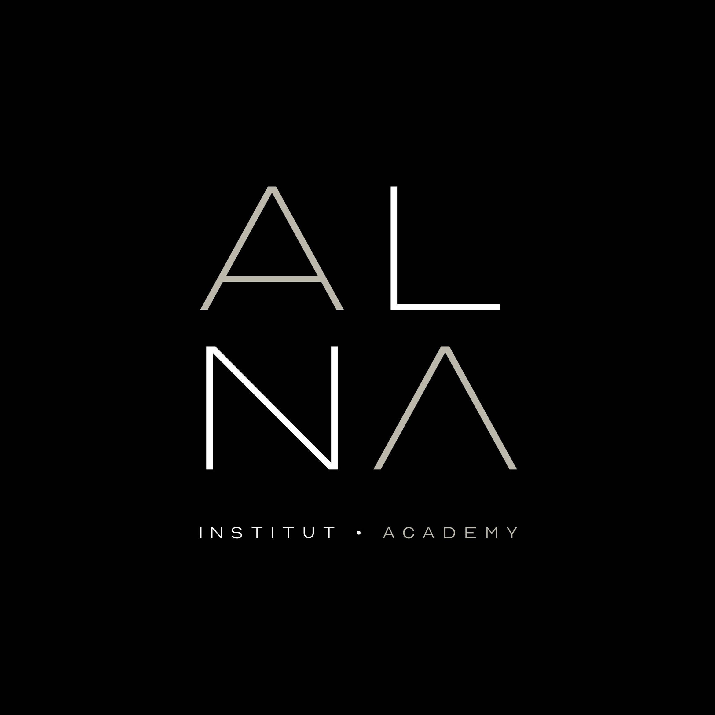 ALNA • INSTITUT ACADEMY, 16 Rue Victor Hugo, 91400, Saclay