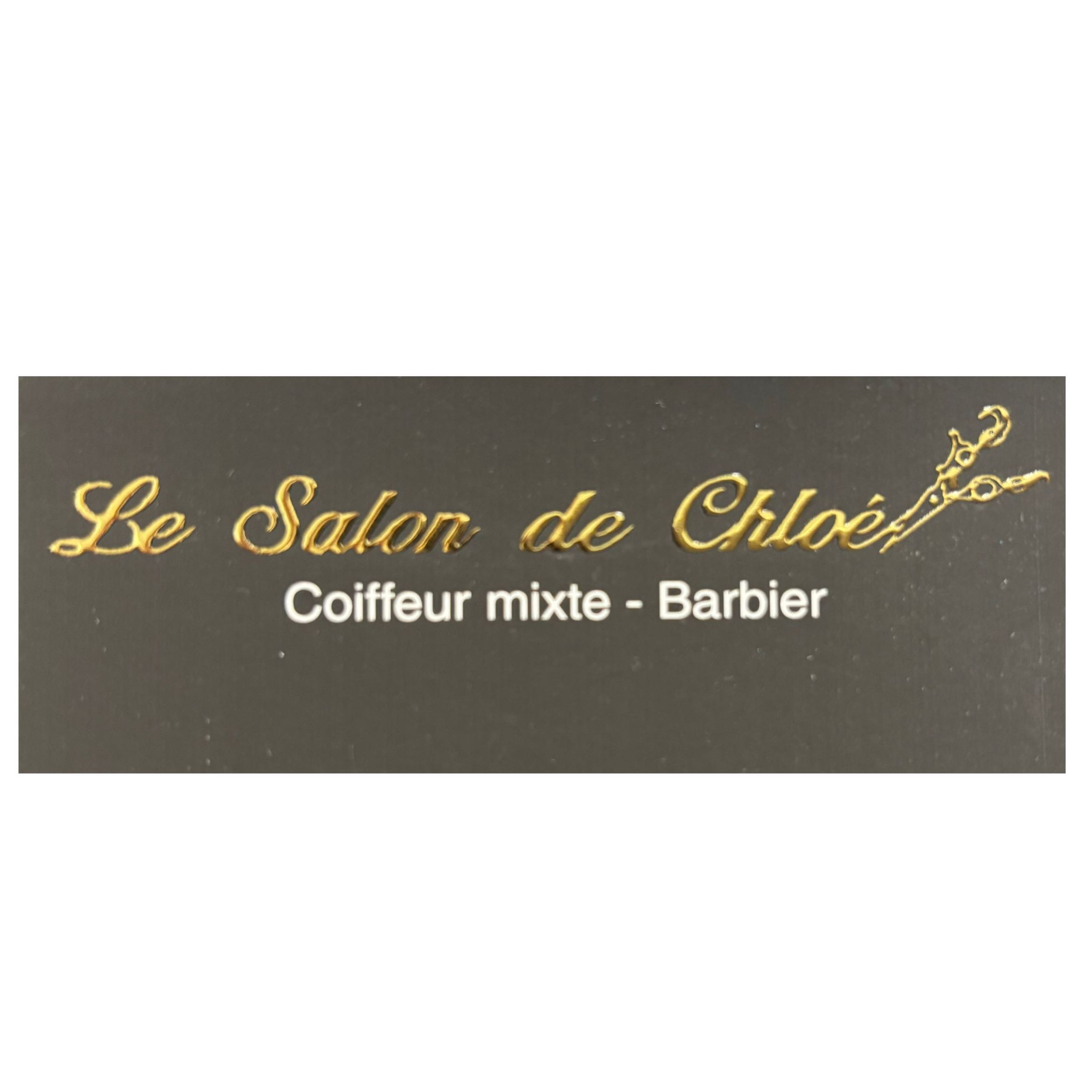 Le salon de Chloé, Rue du Docteur Pierre Millet, 11, 24470, Saint-Pardoux-la-Rivière