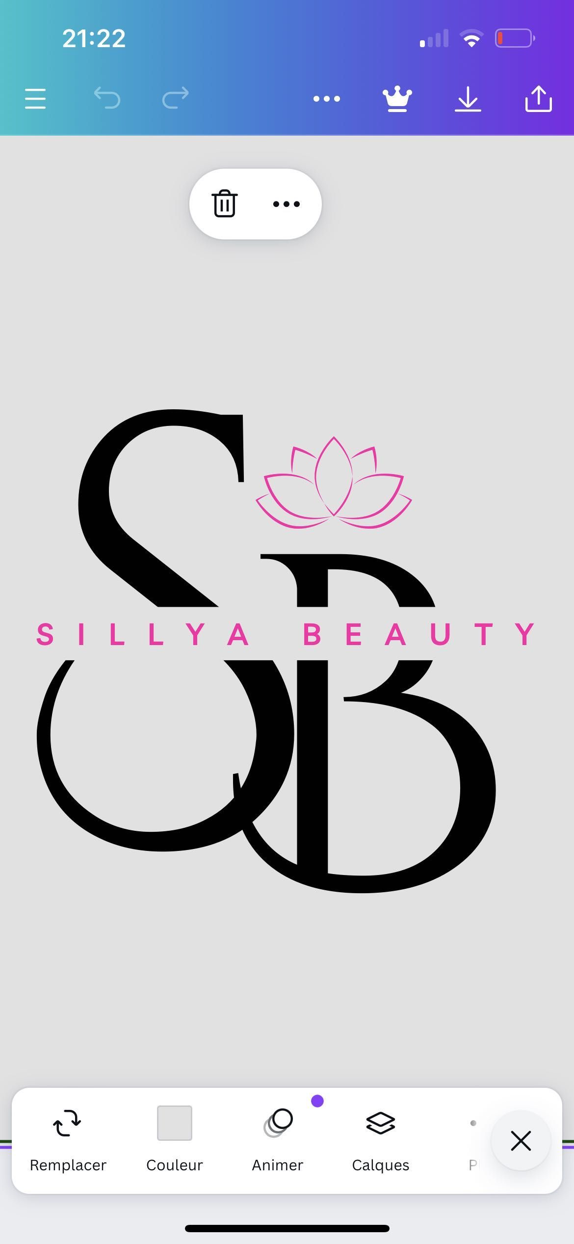 SillyaBeauty, 1017 Montée des Lauriers, 30100, Alès