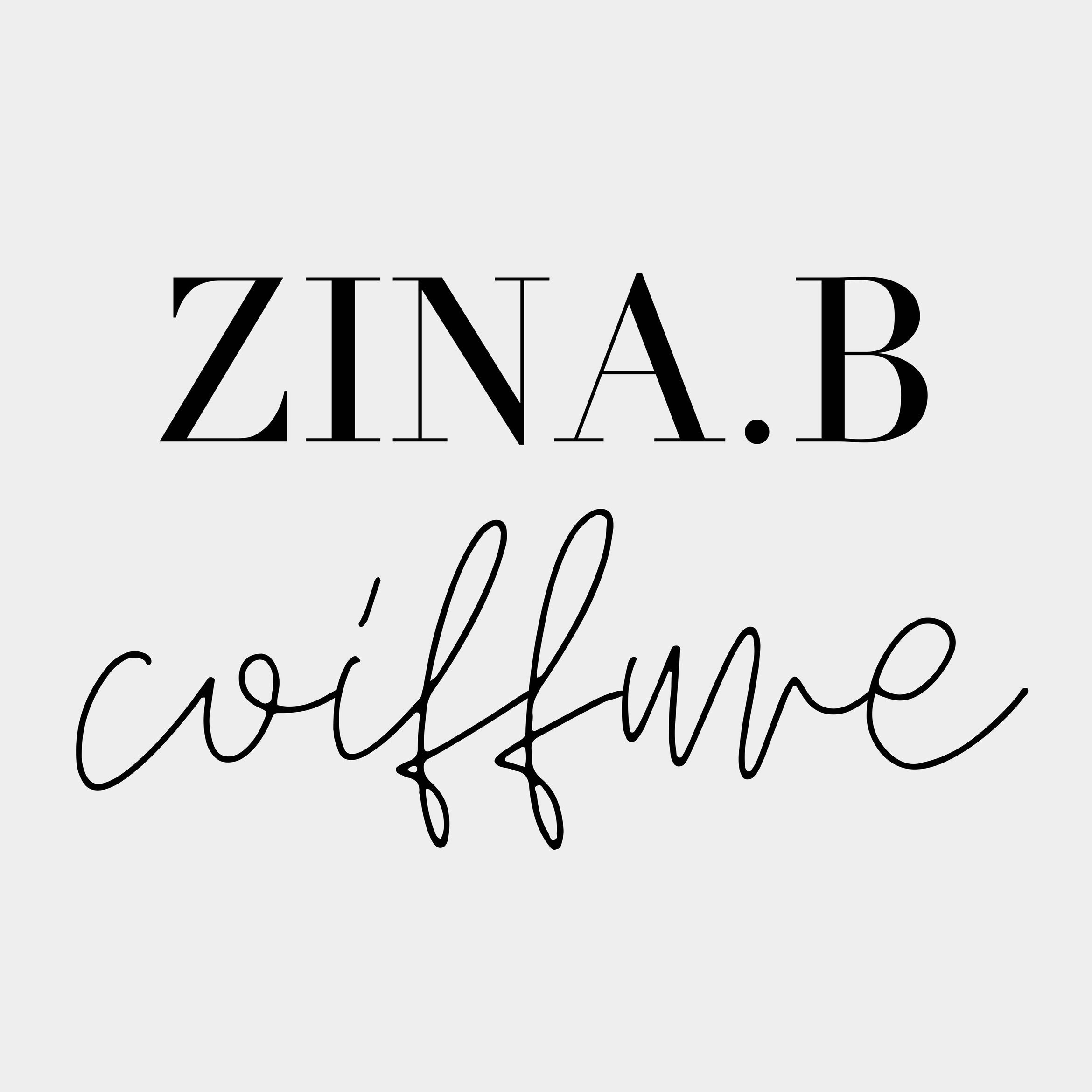 ZinaB Coiffure, 1 Allée Roger Barbé, 35136, Saint-Jacques-de-la-Lande