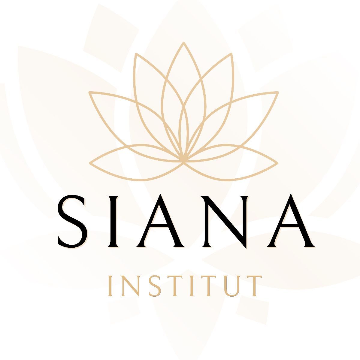 Siana Institut, 89 Avenue Jean Jaurès Z.I La Baronnie, 73330, Le Pont-de-Beauvoisin