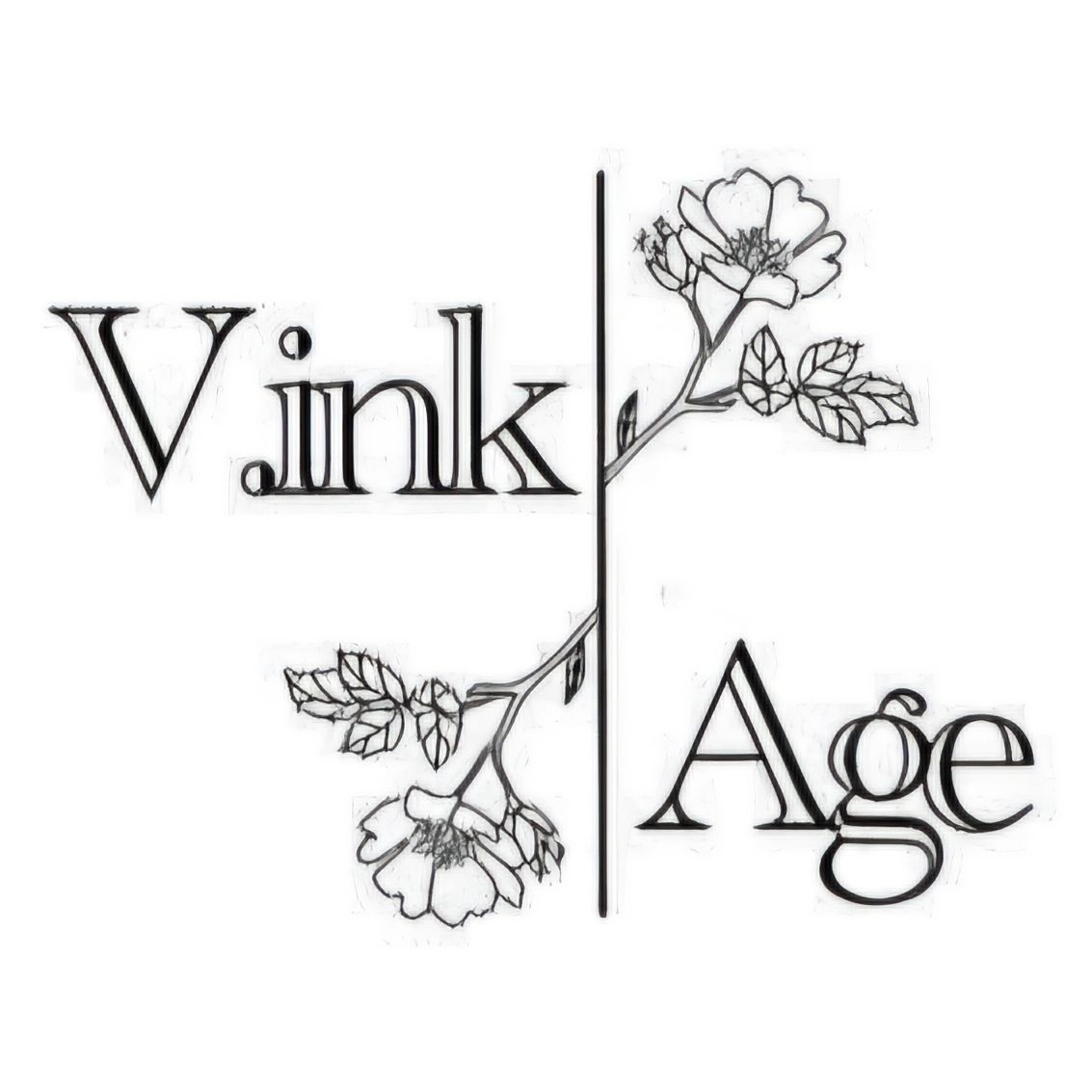 V.ink Age, 8 Rue Saint-Georges, 24400, Mussidan