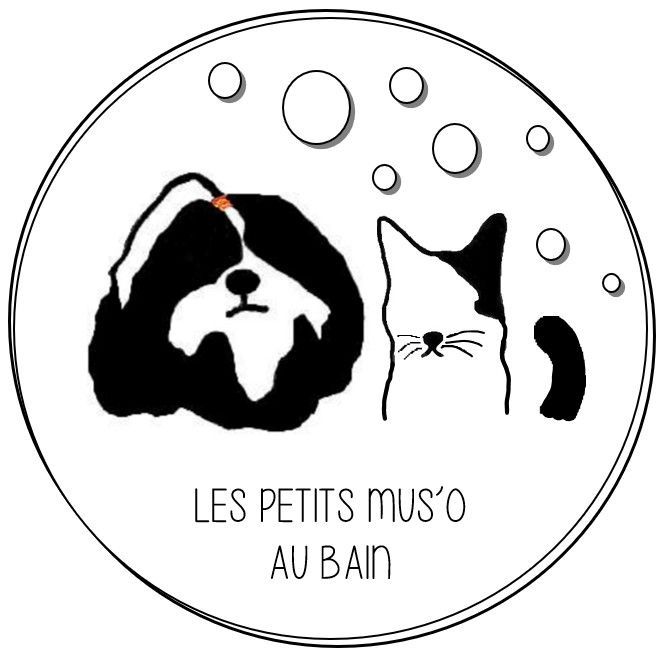 Les Petits Mus'o, 146 Avenue de la République, 33450, Saint-Loubès