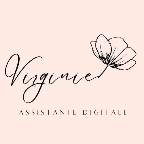 Virginie Assistante Digitale, 704 Route d'Antibes, 06560, Valbonne