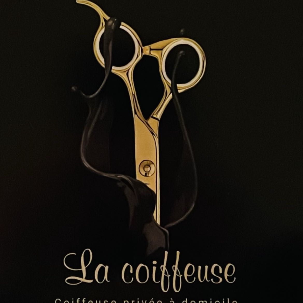 La coiffeuse, 34 Rue Joseph Fournier, 35300, Fougères