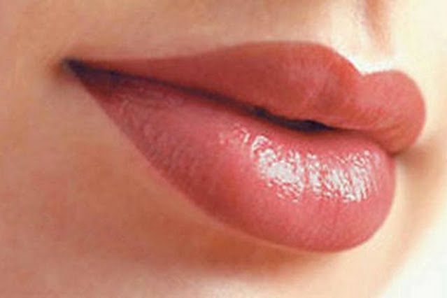 Porfolio de Lèvre