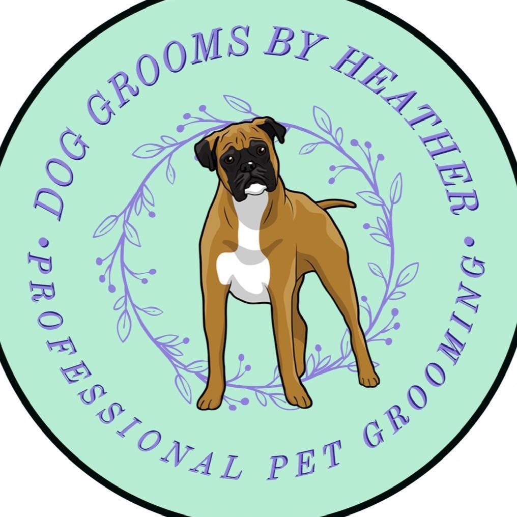 Dog Grooms By Heather, 267 Brandon Street, ML1 1RS, Motherwell