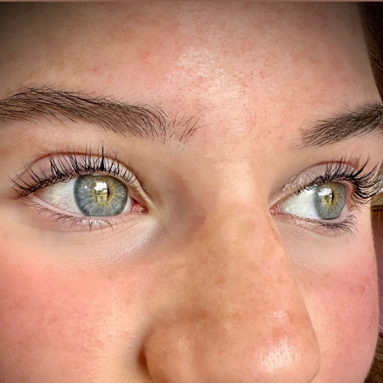 Lash lift and tint by Lily portfolio
