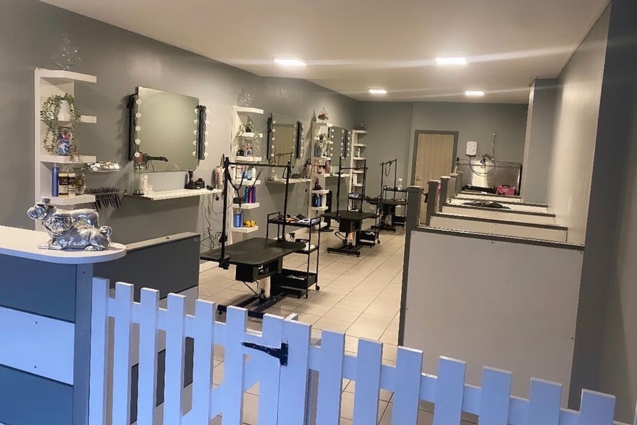 Dog store grooming parlor