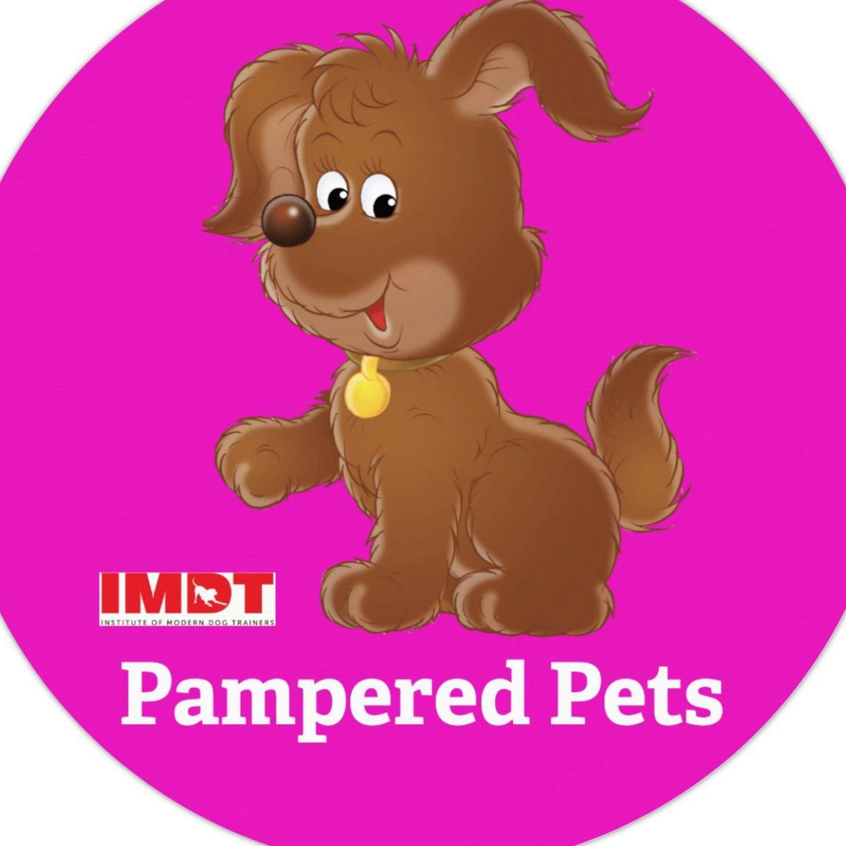 Pampered Pets Dog Park, 81 Holywood Road, Craigantlet, BT23 4TQ, Newtownards