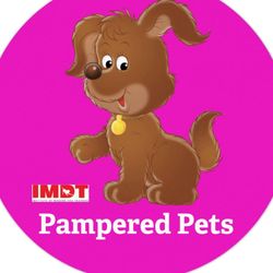 Pampered Pets Dog Park, 81 Holywood Road, Newtownards