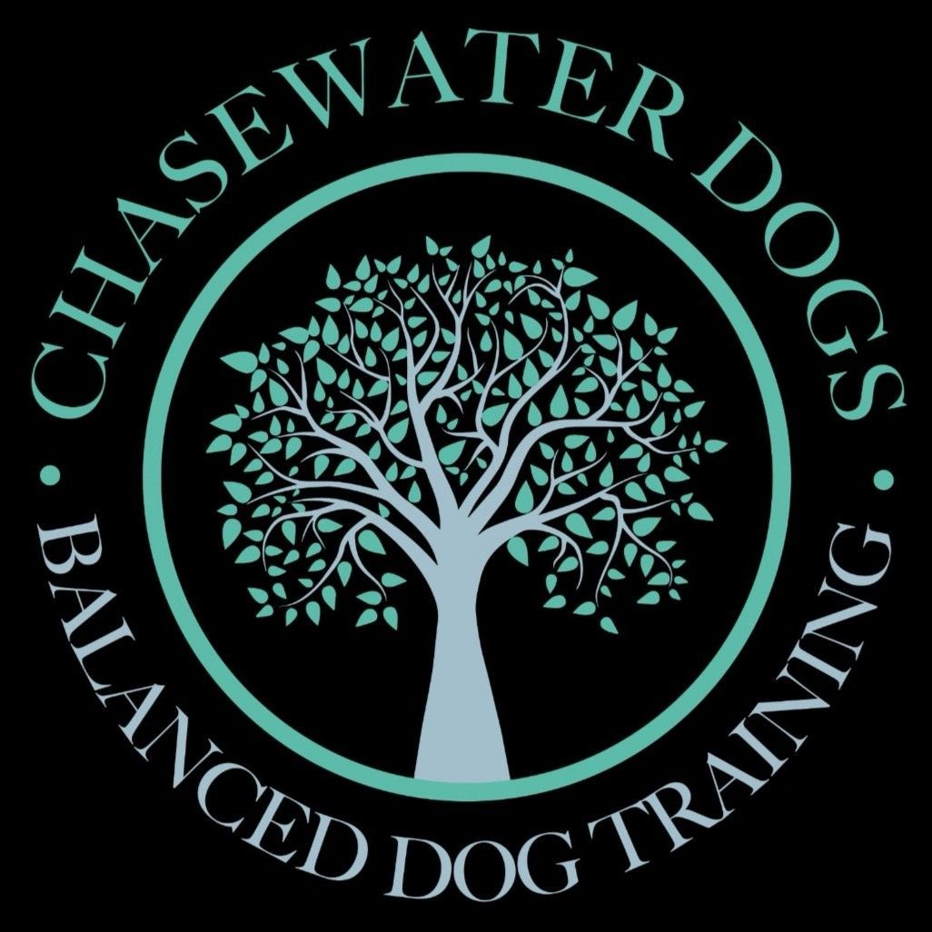 Chasewater Dogs Training, Hawthorn Drive, WS11 9UF, Cannock