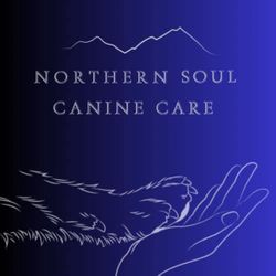 Northern Soul Canines - Lake District, 1 Wellheads Lane, Sedgwick, Kendal, Cumbria, LA80JS, LA8 0JS, Kendal