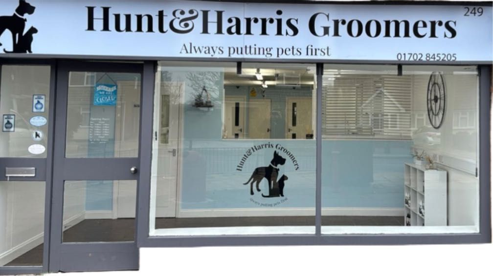 Pet Services in Sandon England Booksy