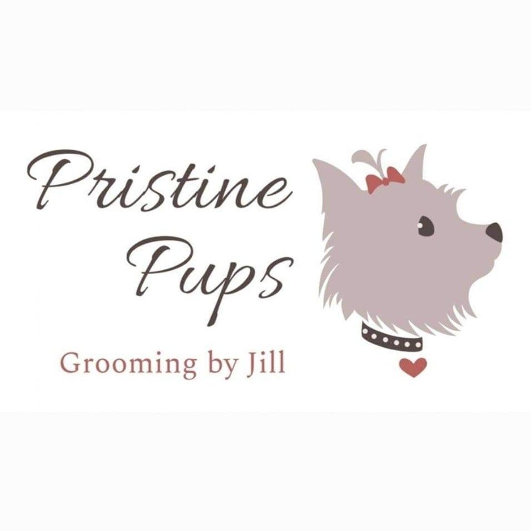 Pristine Pups Grooming by Jill, 75 Mercer Street, Lisburn