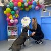 Courtney Monaghan - G-Unit dog grooming & daycare