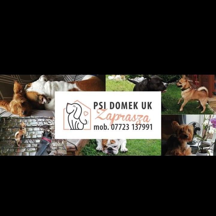 Psi Domek / Doggy Home, 17 Grove Croft, HX3 5RD, Halifax