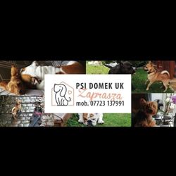 Psi Domek / Doggy Home, 17 Grove Croft, HX3 5RD, Halifax