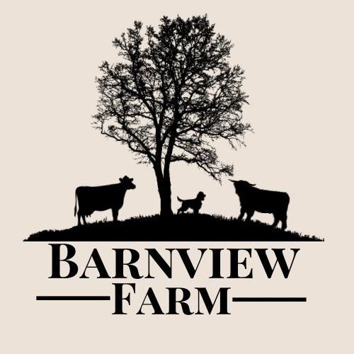 Barnview Farm Dog Park, 70 Dooish Road, Omagh