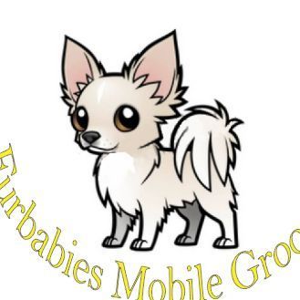 FurbabiesMobileGroomers, Londonderry