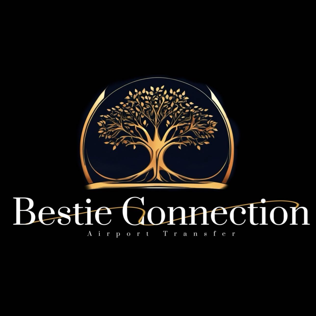 Bestie Connection Transfers, 102 Bath Road, SN1 4AY, Swindon