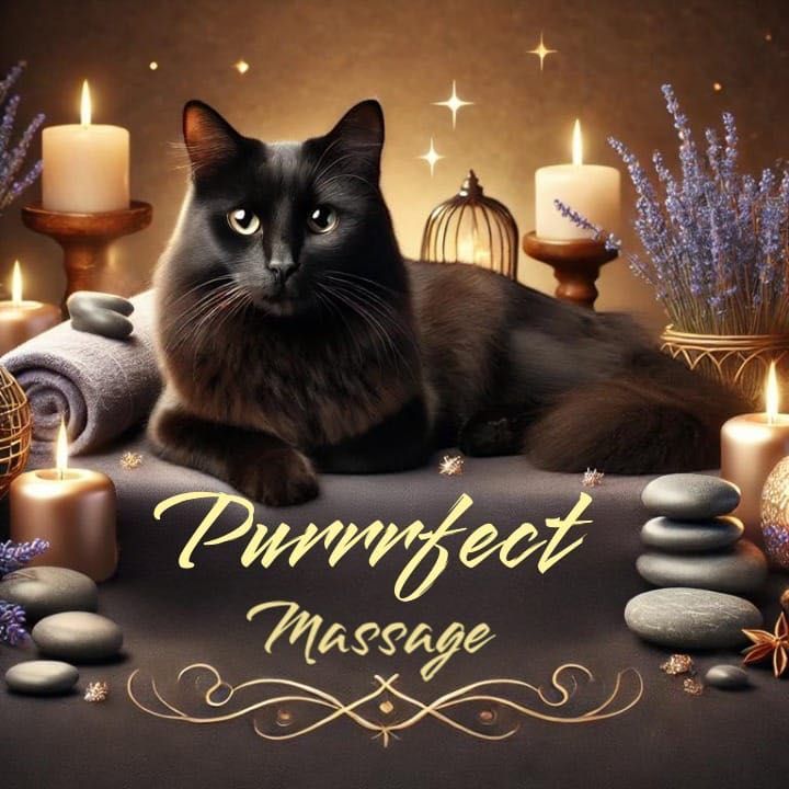 Purrrfect Massage, Unit 41a-2 Morelands Industrial Estate, Bristol Road, GL1 5RZ, Gloucester